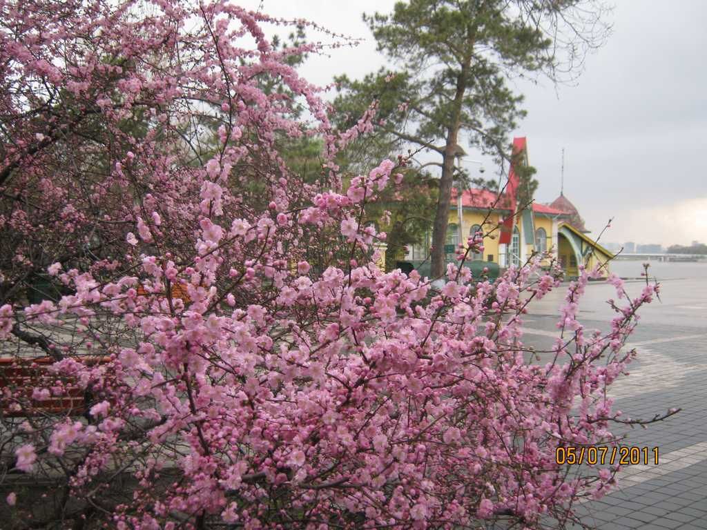 IMG_3610.jpg