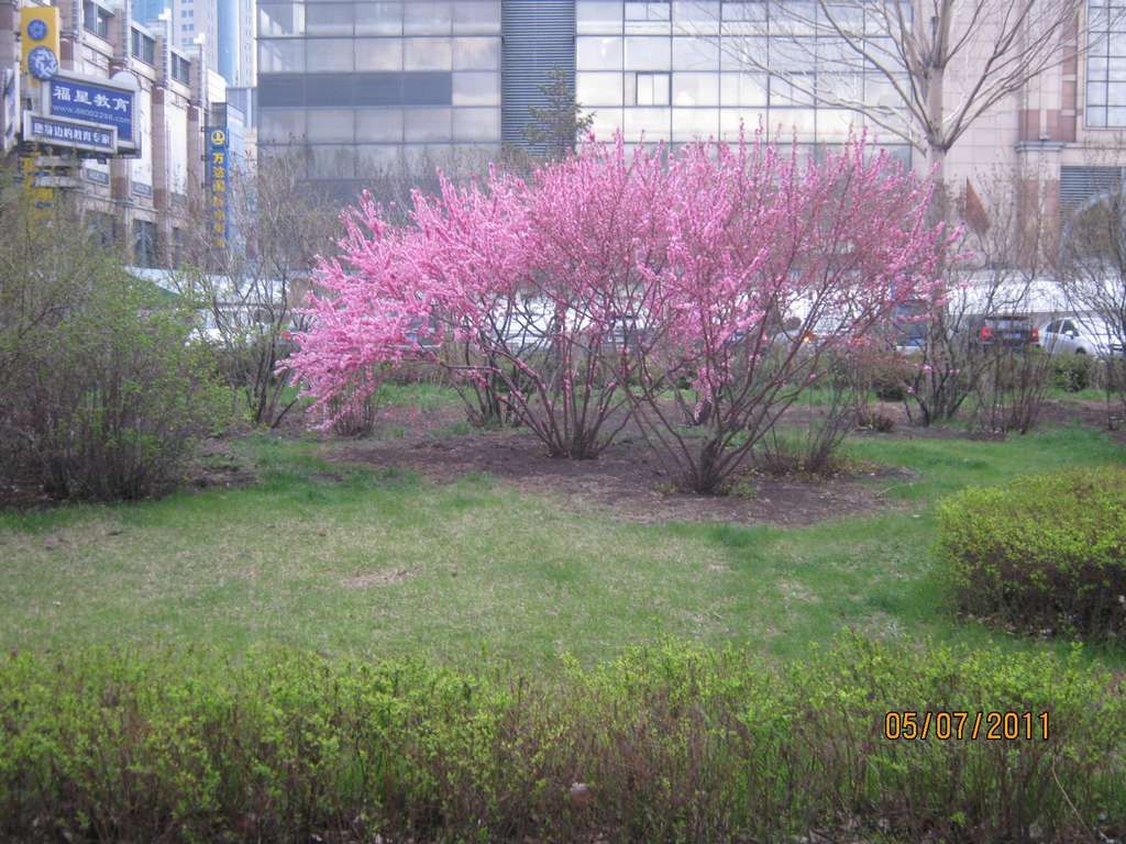 IMG_3621.jpg