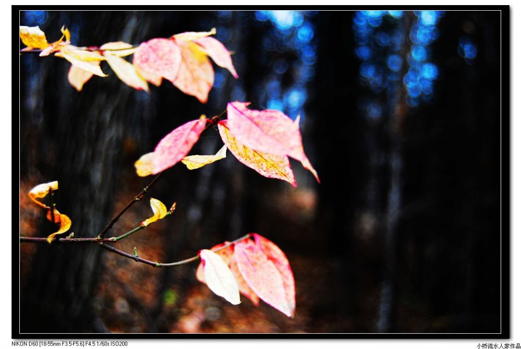 DSC_0059.jpg