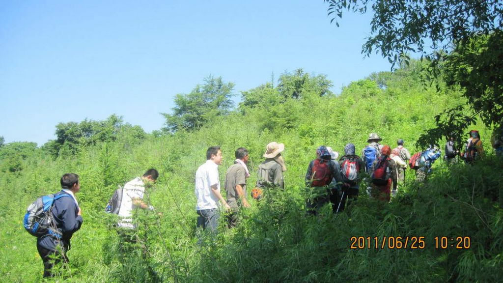 �� (4).jpg
