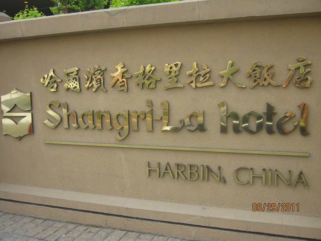 IMG_6389.jpg