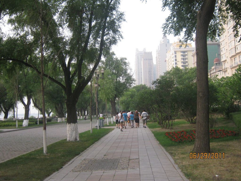 IMG_6423.jpg