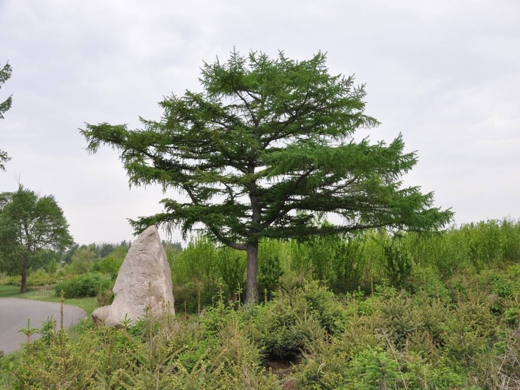 DSC_0097_conew1.jpg
