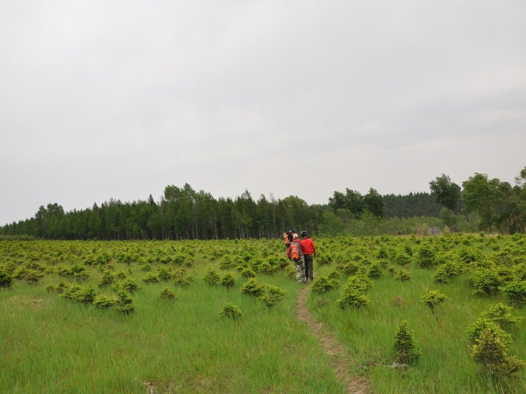 DSC_0073_conew1.jpg
