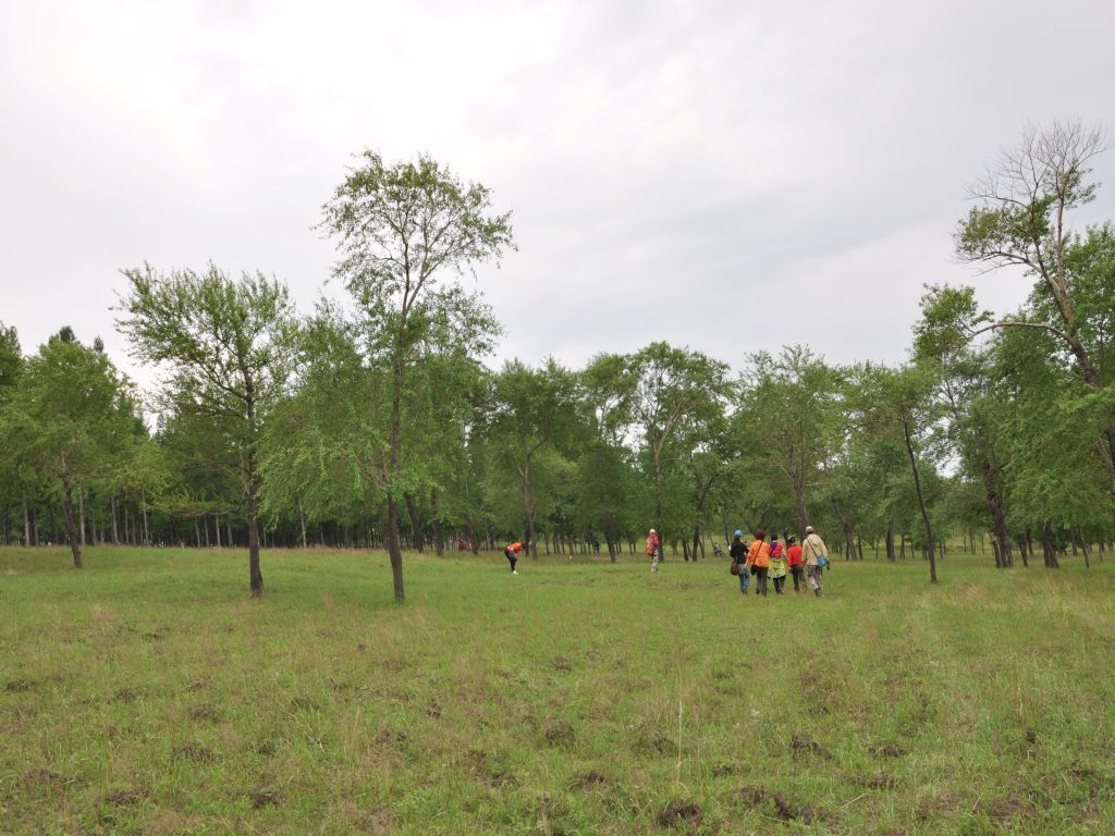 DSC_0059_conew1.jpg