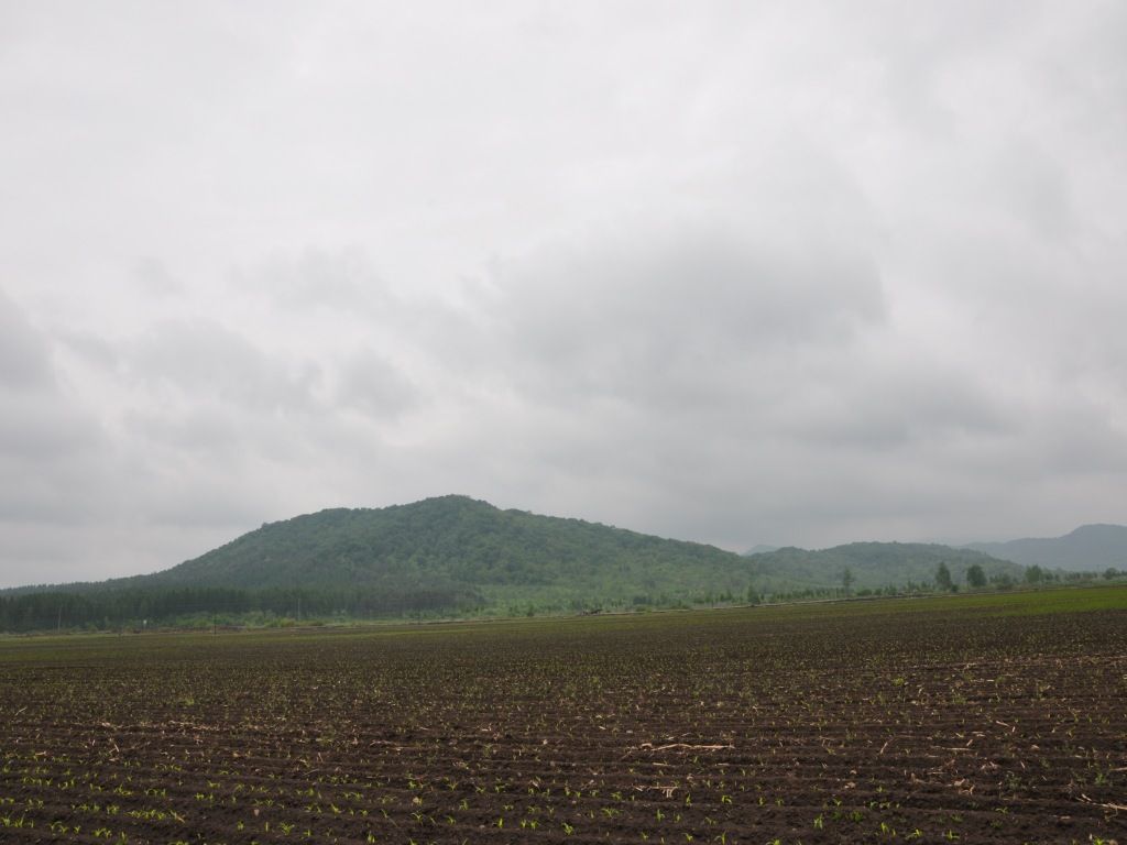 DSC_0008_conew1.jpg