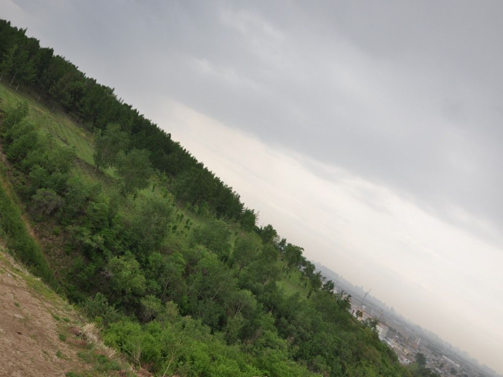 DSC_0112_conew1.jpg