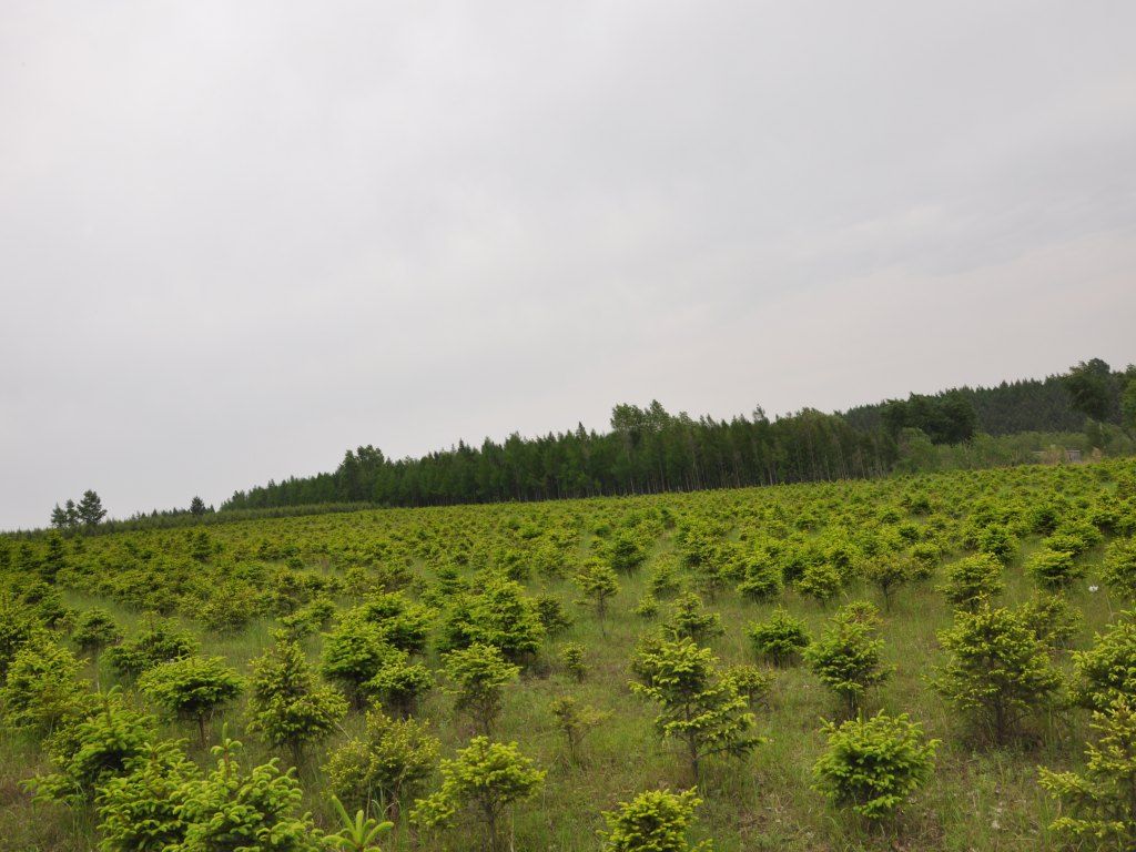 DSC_0068_conew1.jpg