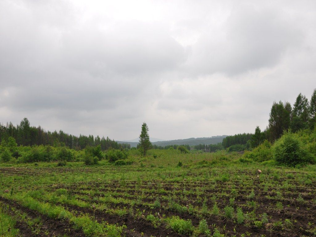 DSC_0032_conew1.jpg