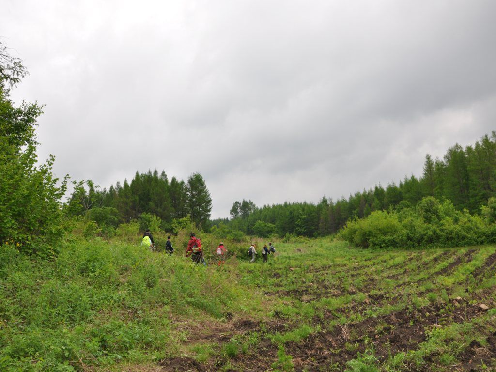 DSC_0035_conew1.jpg