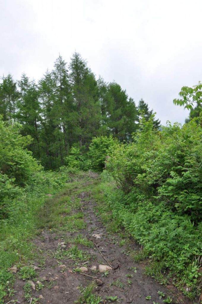 DSC_0036_conew1.jpg