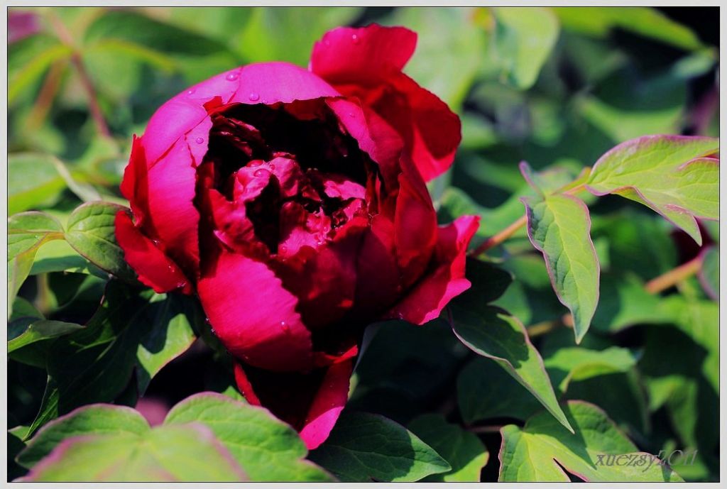 0045.jpg