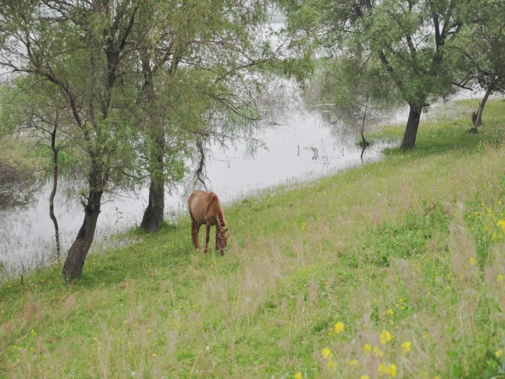 DSC_0020_conew1.jpg