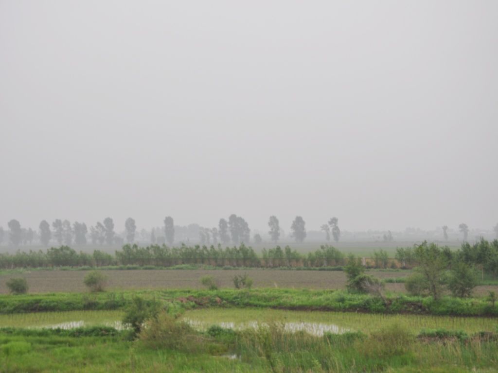DSC_0043_conew1.jpg