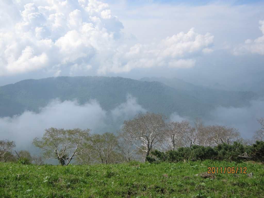 IMG_6269.jpg