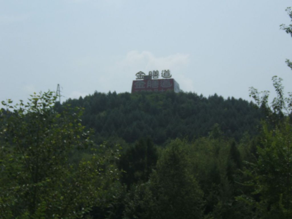 DSCF5484.jpg