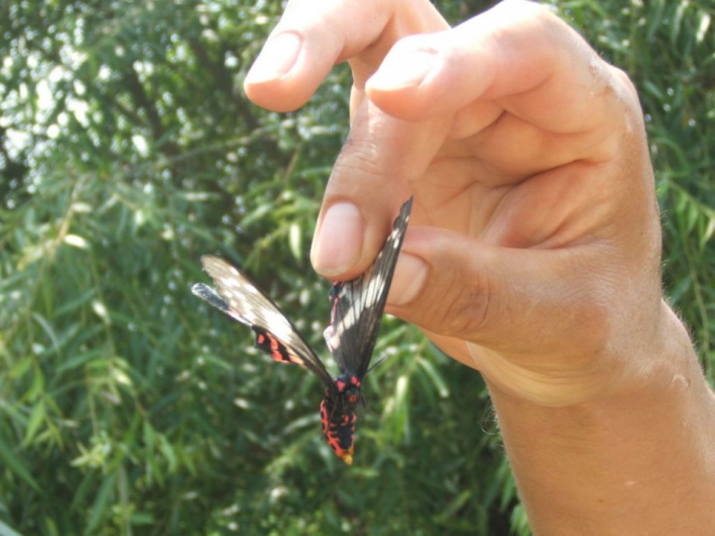 �����ĺ���