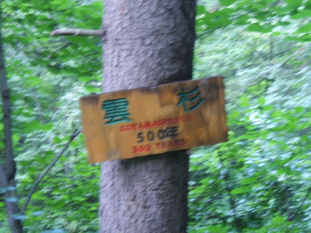 DSCF5898.jpg