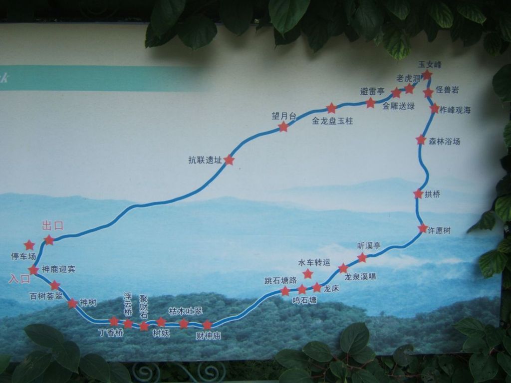DSCF5909.jpg