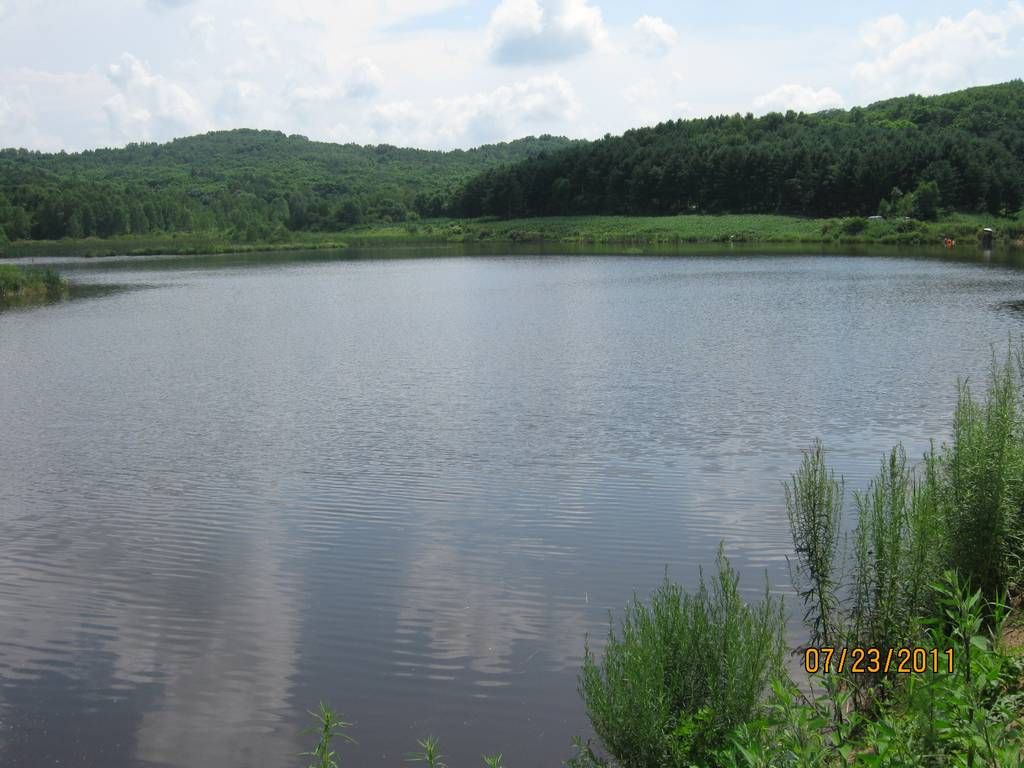 IMG_8386.jpg