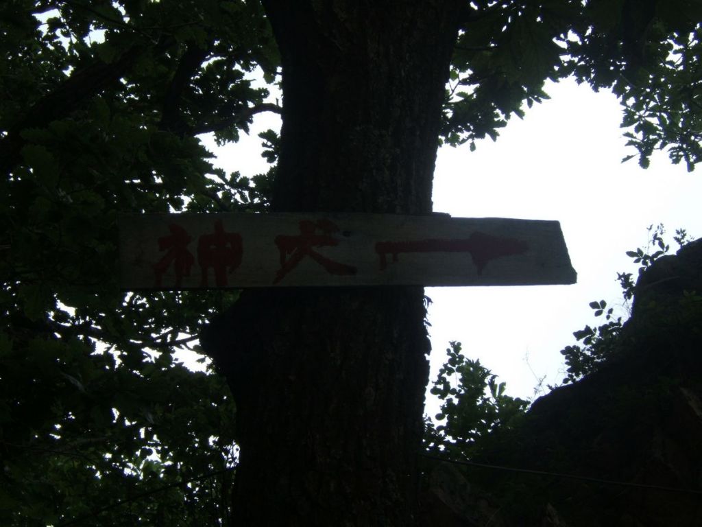 DSCF6044.jpg