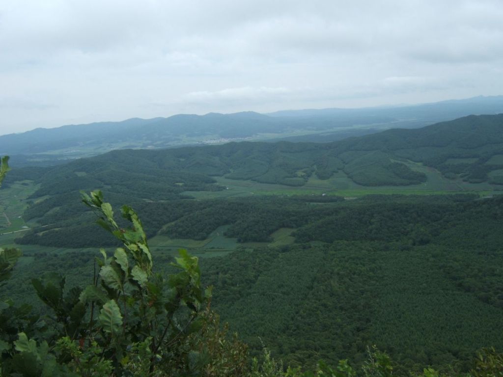 DSCF6051.jpg