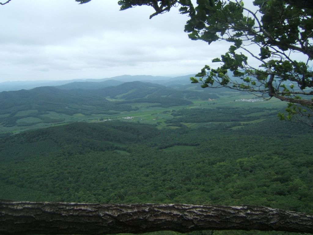DSCF6055.jpg