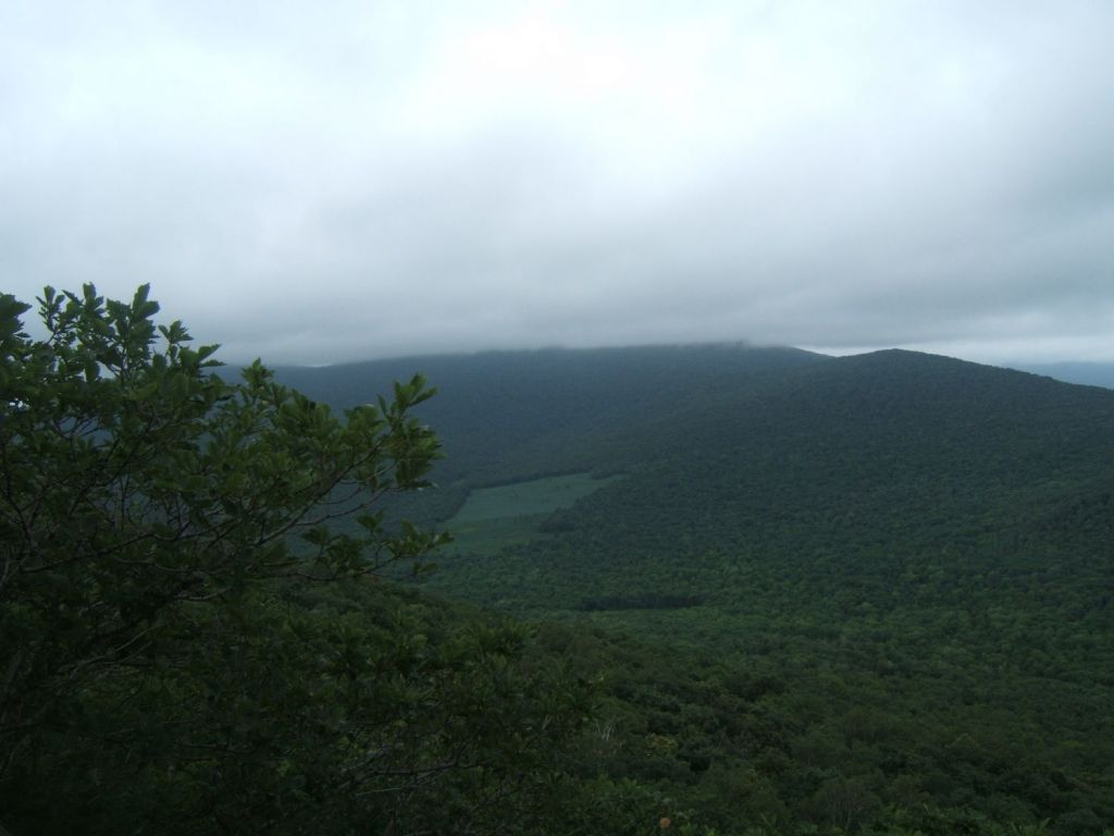 DSCF6046.jpg