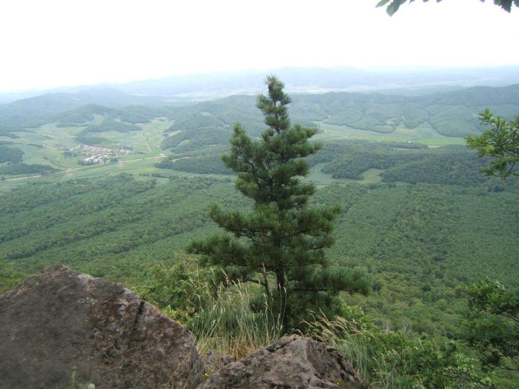 DSCF6058.jpg