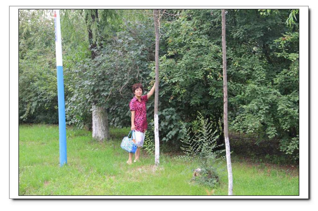 ��Ƭ 085.jpg