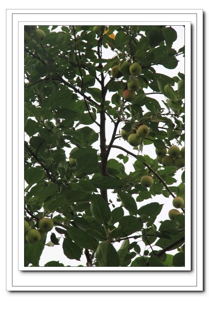 ��ת ��Ƭ 066.jpg