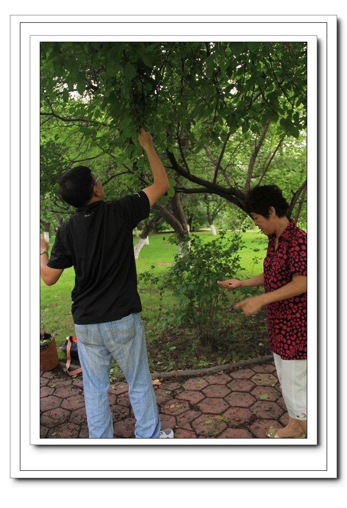 ��ת ��Ƭ 127.jpg