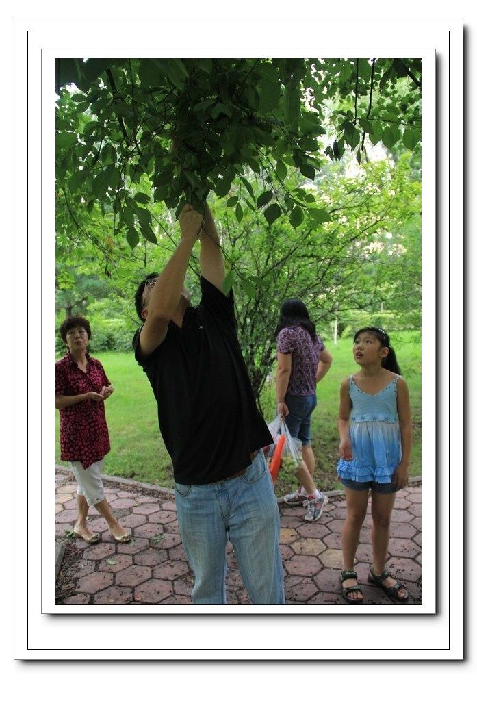 ��ת ��Ƭ 132.jpg