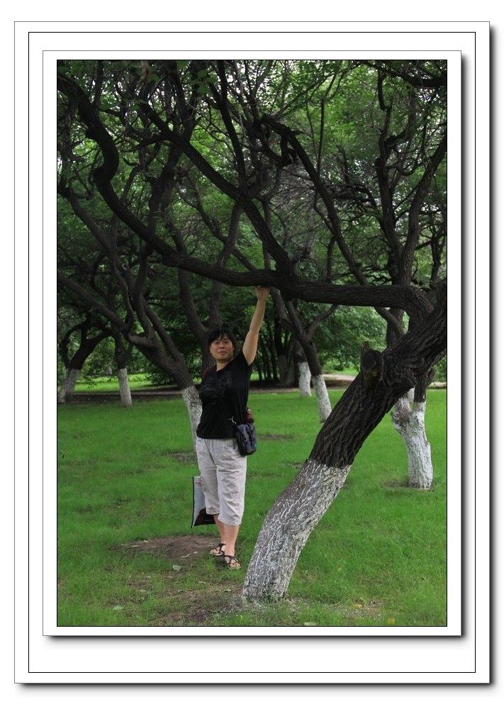 ��ת ��Ƭ 141.jpg