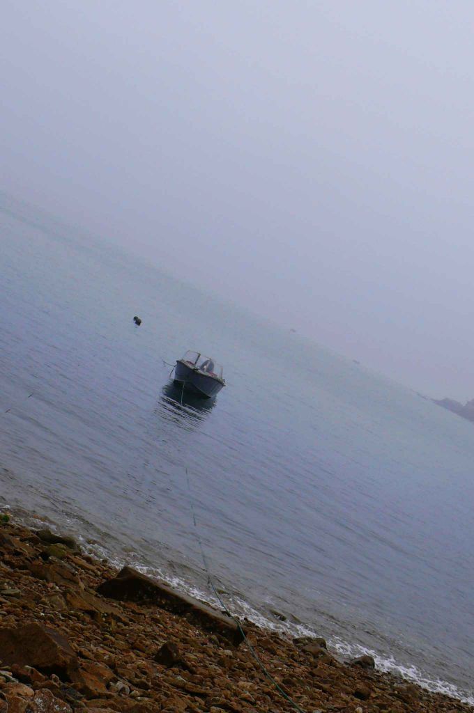 P1060134.jpg