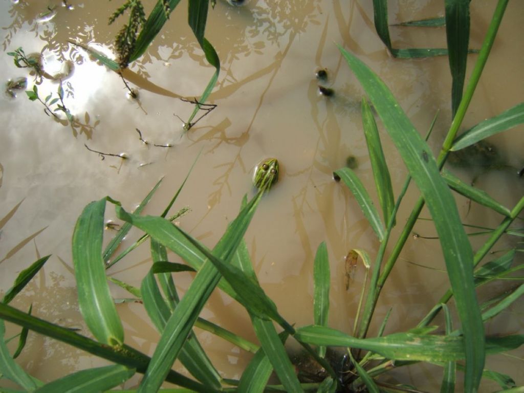 DSCF6415.jpg