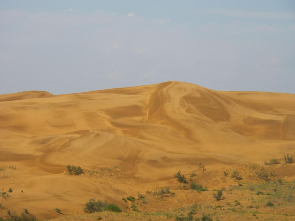 201110111051560428.jpg