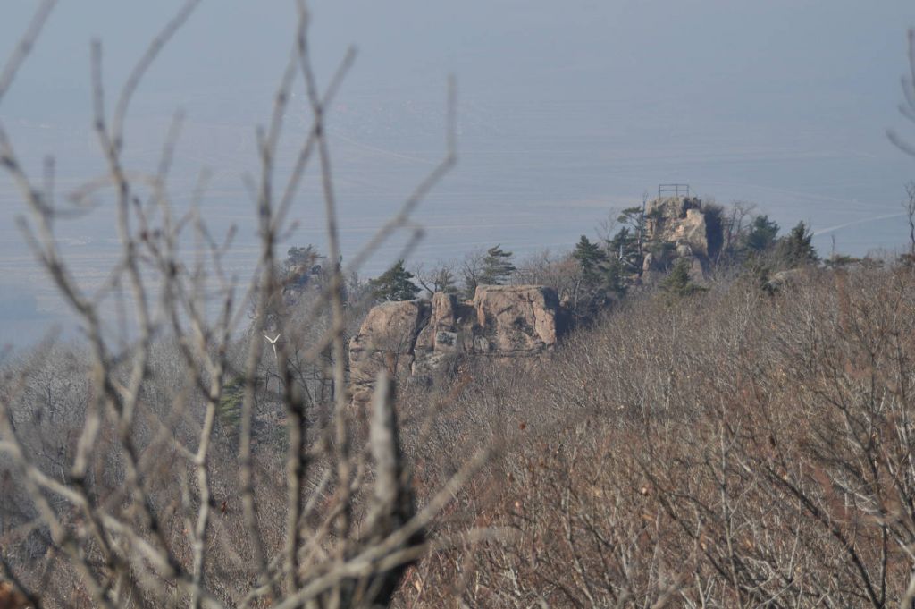 DSC_0088.JPG