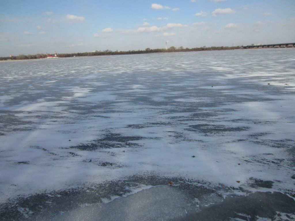 IMG_0910.jpg