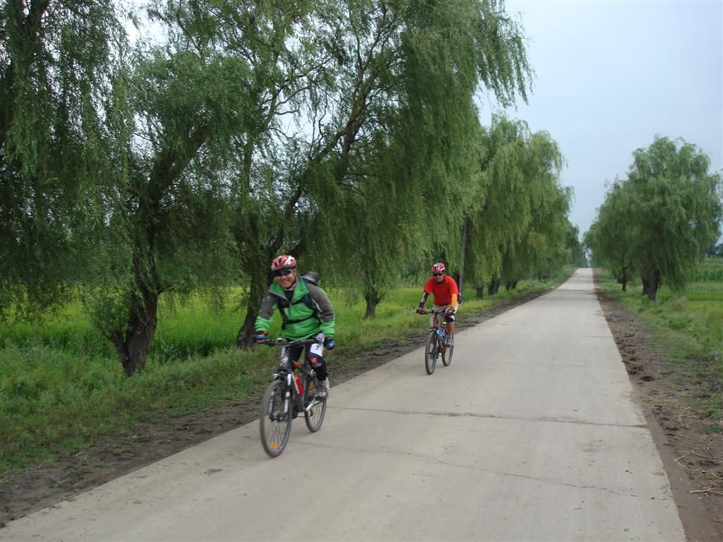 DSC01460 (��).JPG