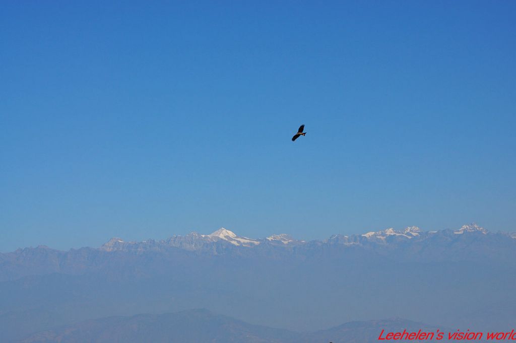 DSC_0733.jpg