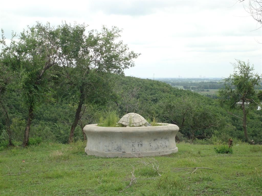 DSC01406 (��).JPG