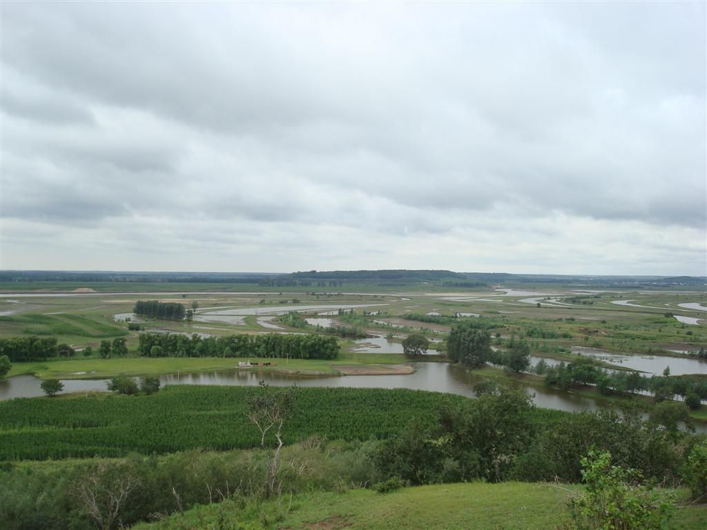 DSC01410 (��).JPG