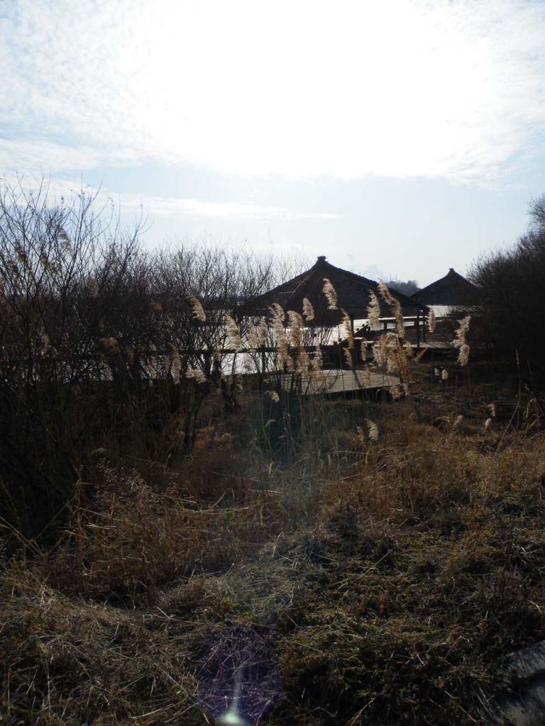 DSCF3231.JPG
