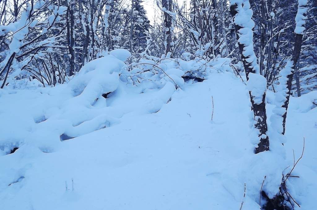 DSCF5837.jpg