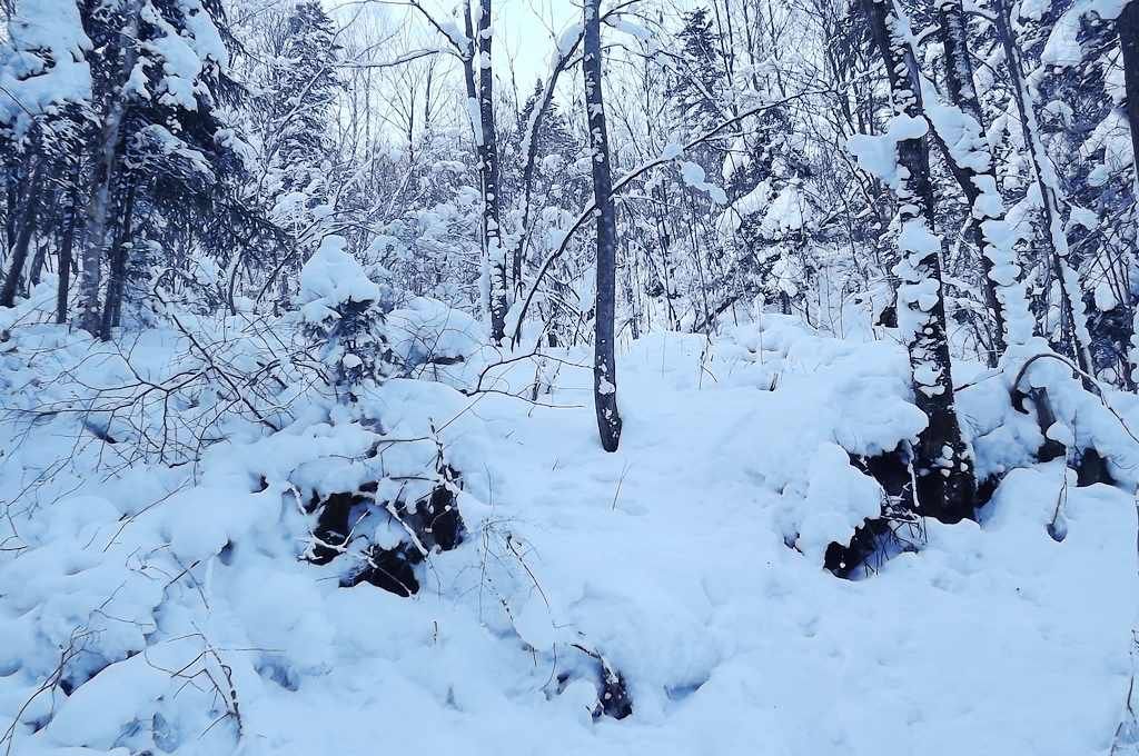 DSCF5785.jpg