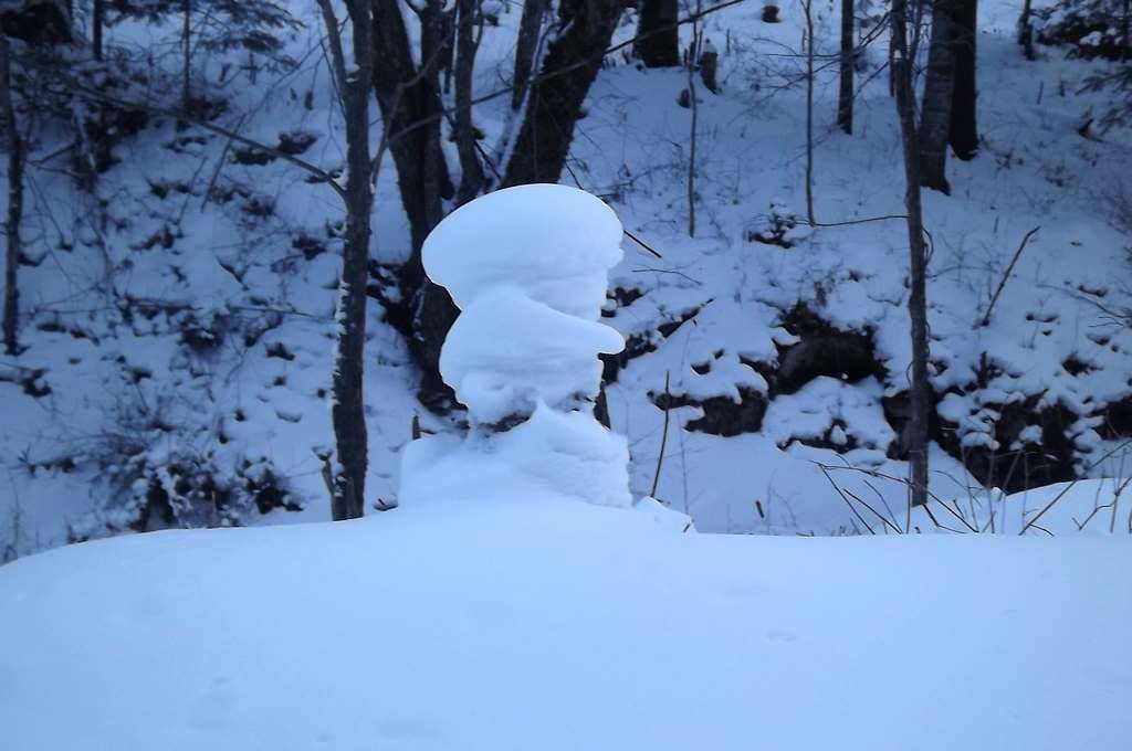 DSCF5709.jpg