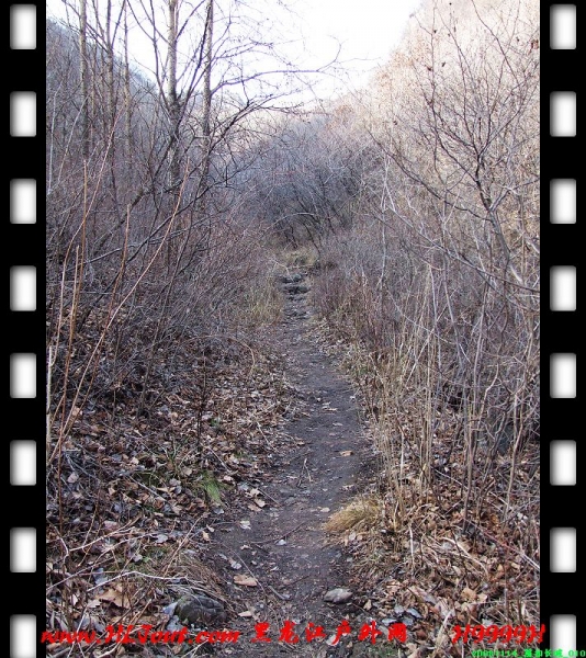 20081114_���۳���_010.jpg