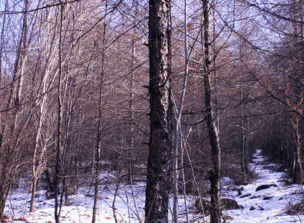 11.27.jpg