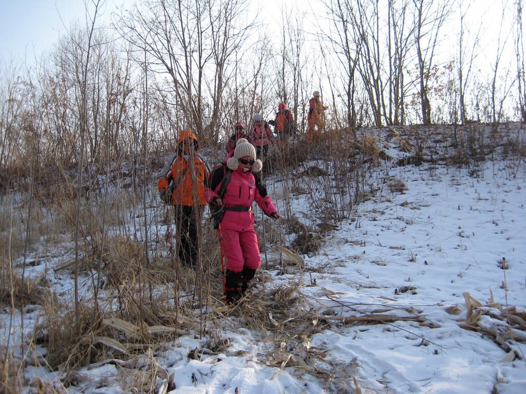IMG_5526.jpg